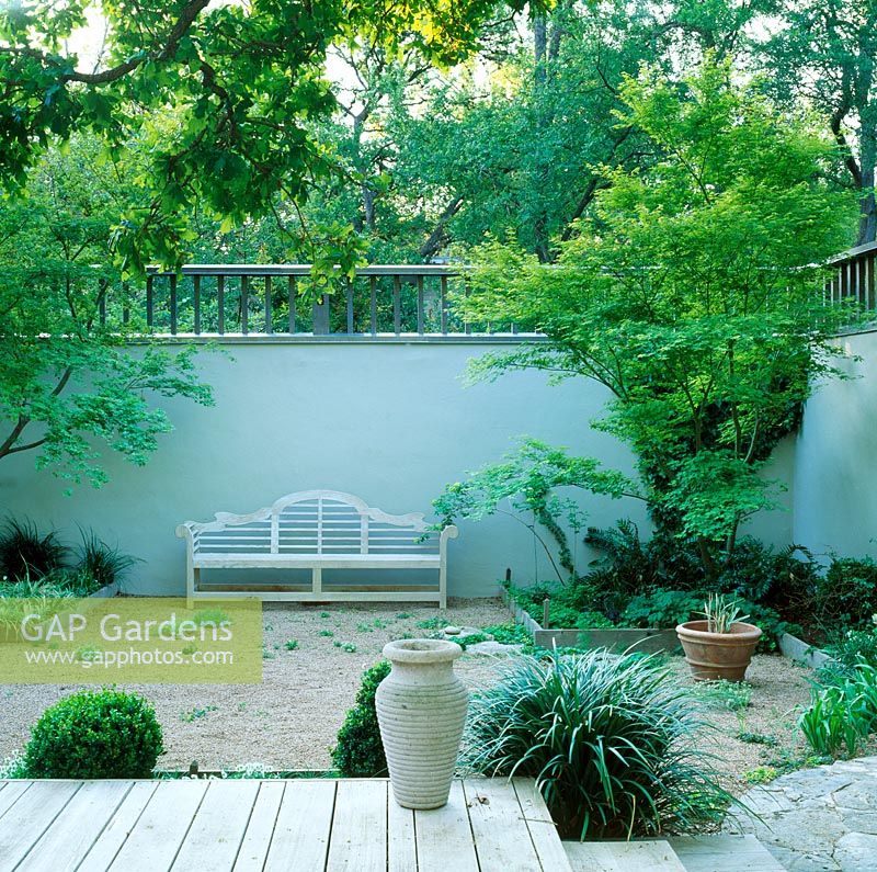 Luytens bench in courtyard with Acer palatum and Quercus stellata - Gordeon White's Garden in Texas, USA