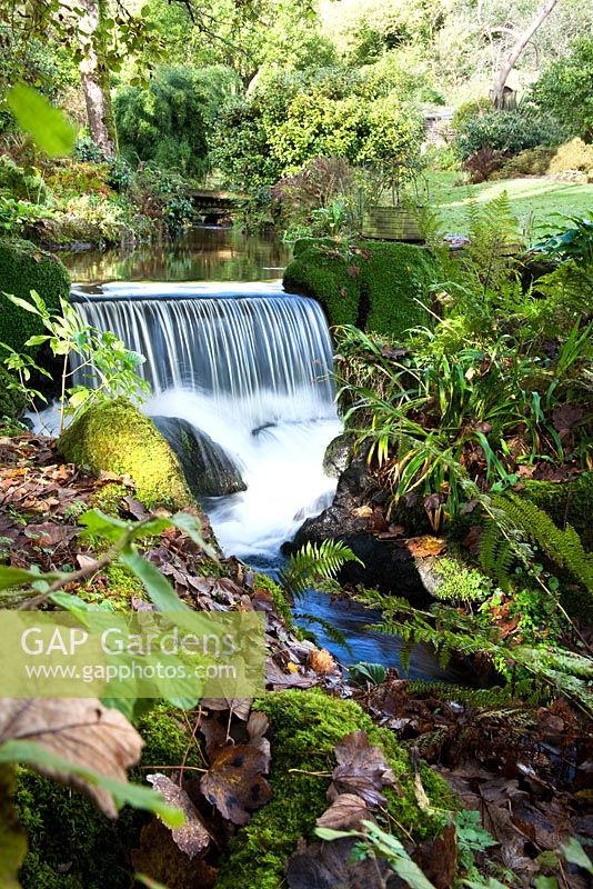Waterfall in the managed woodland. Trewoofe Orchard, Cornwall