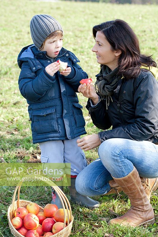 Boy and woman eating freshly harvested Apples
