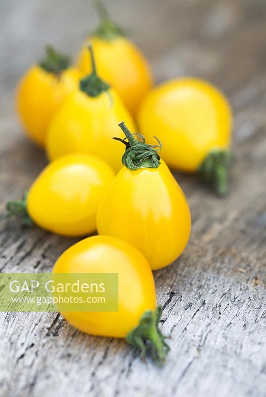 Heirloom tomatoes - 'Yellow pear' 
