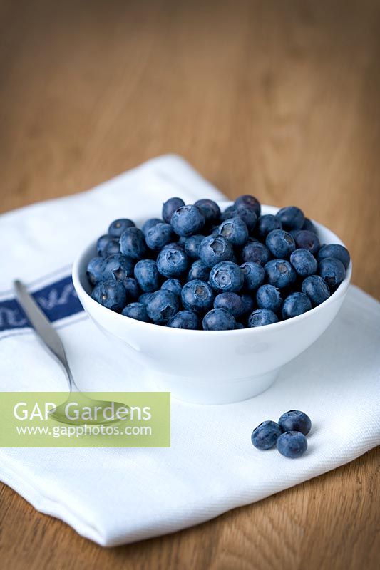 Blueberries in a white bowl on a tea towel with spoon