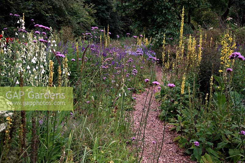 The stone garden in Holbrook garden during July showing the semi-transparent nature of the planting so important to naturalistic structure