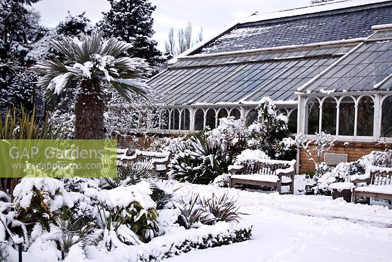 Birmingham Botanical Gardens in snow, Loudon Terrace