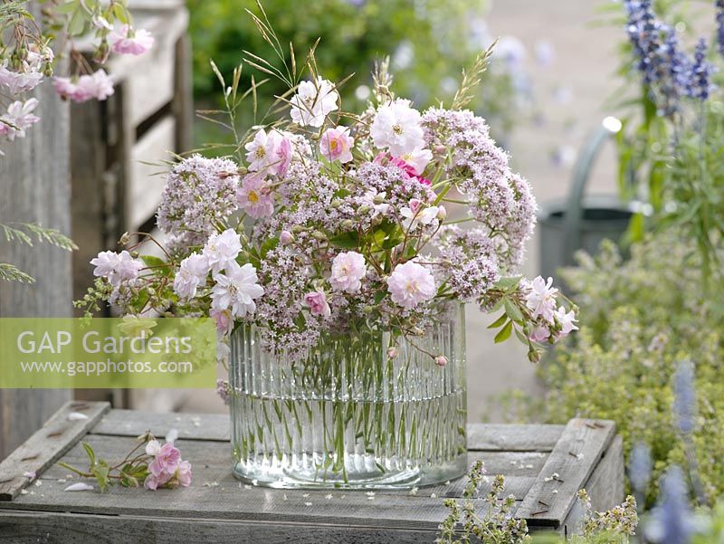 Rosa 'Paul's Himalayan Musk' and Valeriana in glass vase