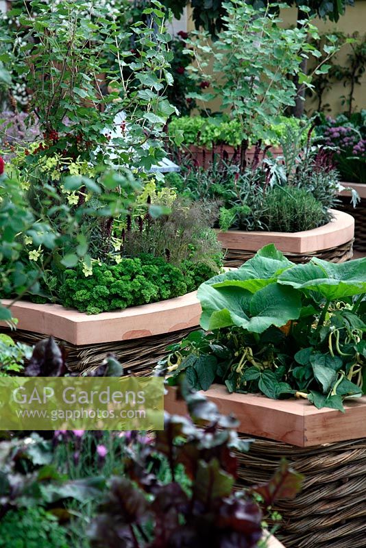 Vegetables growing in raised beds with woven willow edging - 'The M and G Investments Garden', Silver Gilt Medal Winner, RHS Chelsea Flower Show 2011 
