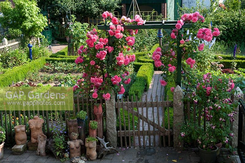 Cottage garden with picket fencing and pergola 