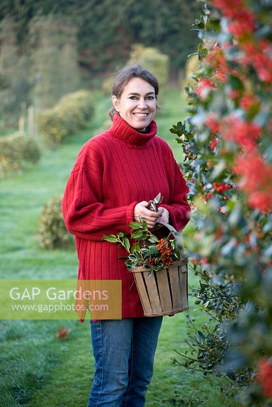 Woman in red jumper carrying wooden basket of mixed Hollies
