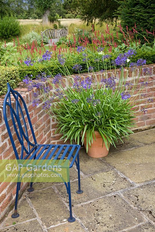 Raised bed in sunken garden with pots of Agapanthus, blue gothic style chair, low Buxus hedge, Persicaria amplexicaulis  'Firetail'  and view of bridge over stream - The Manor House