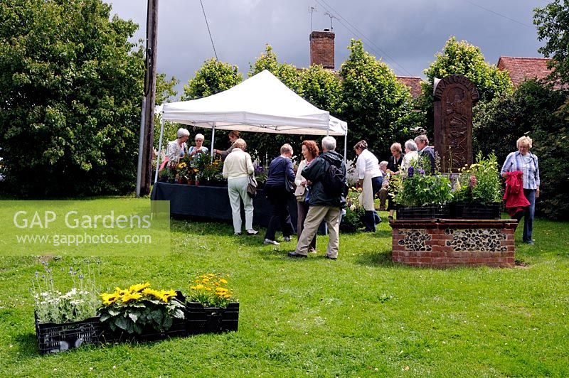 Charity plant stall on village green with people crowded round, Braughing Hertfordshire, UK