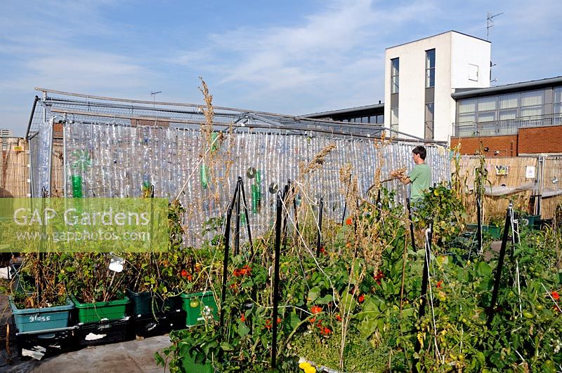 Man working on the side of greenhouse made from recycled plastic bottles located at FOOD from the SKY a permaculture food growing garden and educational initiative on the roof top of Thornton's Budgens supermarket, Crouch End, Haringey, North London, UK
