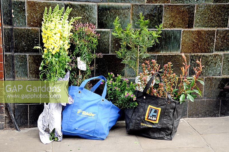 Plants bought from Columbia Road Flower Market left in bags on the pavement, Tower Hamlets, London, UK