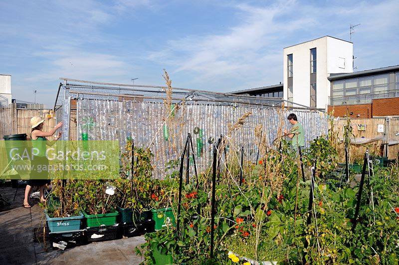 People working on the side of greenhouse made from recycled plastic bottles located at FOOD from the SKY a permaculture food growing garden and educational initiative on the roof top of Thornton's Budgens supermarket, Crouch End, Haringey, North London, UK