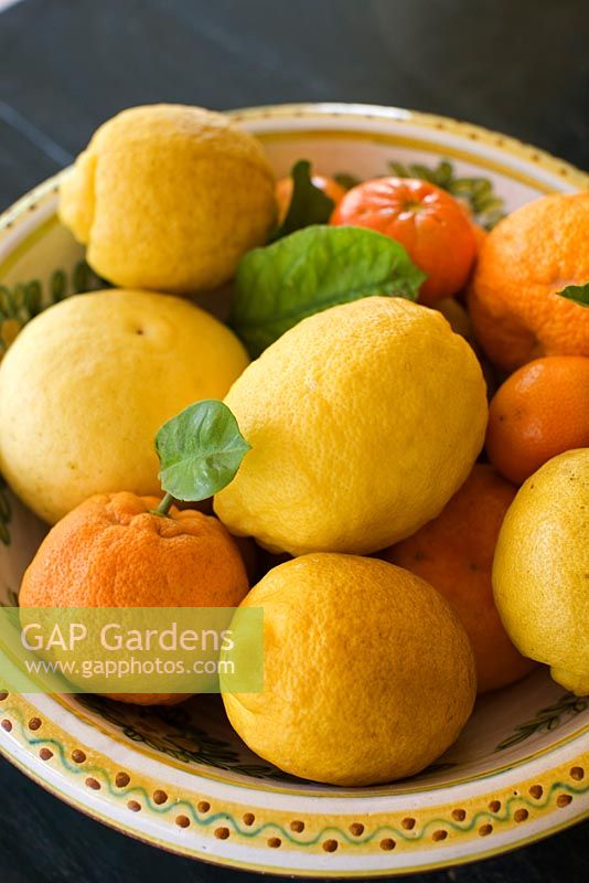 Bowl of oranges and lemons 