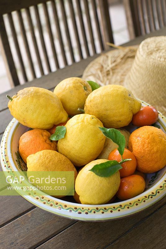Bowl of lemons and oranges on garden table 