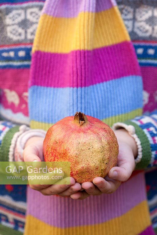 Girl holding a pomegranate
