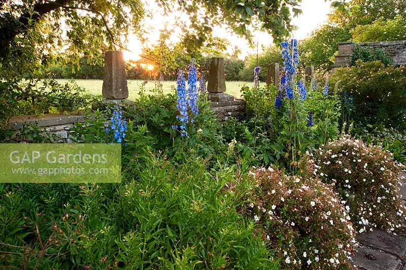 Border planted with Delphiniums and Potentillas with stone wall decorated wtih finials behind and fields beyond - Whalton Manor Gardens, Whalton, Northumberland, UK