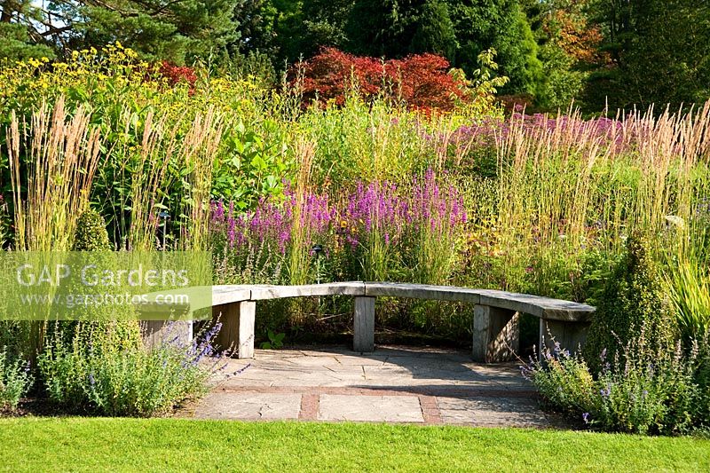Curved wooden seat backed by grasses and flowering perennials including Lythrum virgatum 'Dropmore Puprle' along the main borders -  RHS Garden Harlow Carr, Harrogate, North Yorkshire, UK