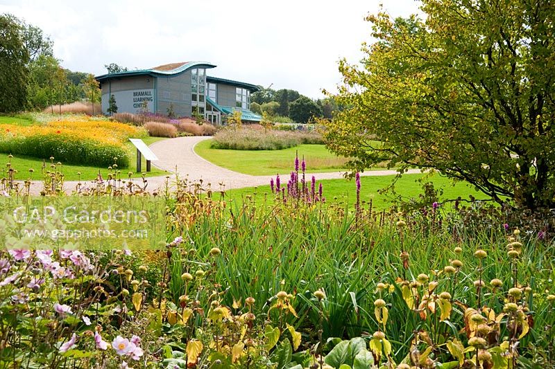 Bramall Learning Centre and Library with annual meadow on the left - RHS Garden Harlow Carr, Harrogate, North Yorkshire, UK