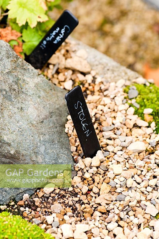 Label marking plant theft in the Alpine Zone at RHS Garden Harlow Carr, Harrogate, North Yorkshire, UK