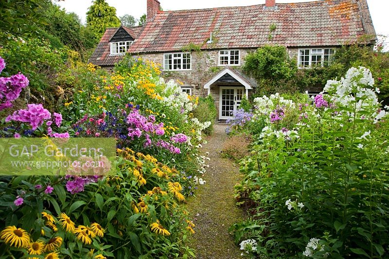 Cottage garden with Phlox, Rudbeckia and Inulas - Chiffchaffs, Bourton, Dorset, UK