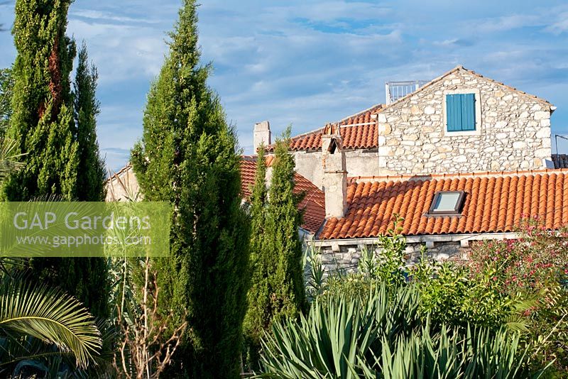 View towards the house and Mediterranean garden with Cypress, Agaves and Palms