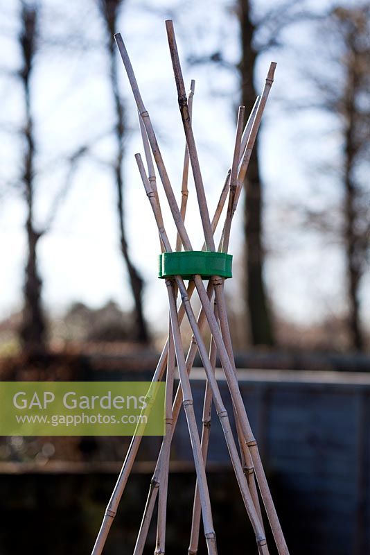Using plastic clips to create bamboo wigwam