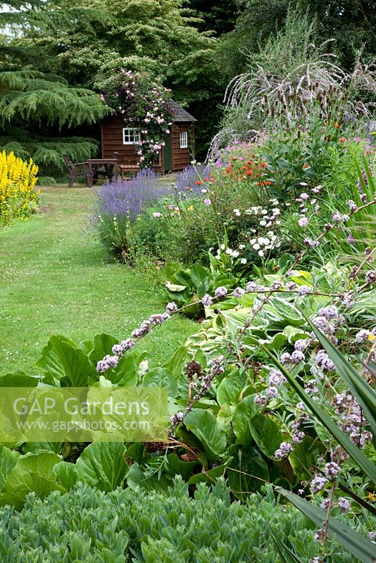 Mixed bedding, garden shed, table and chairs - Great Stone, Buntingford, Herts, NGS