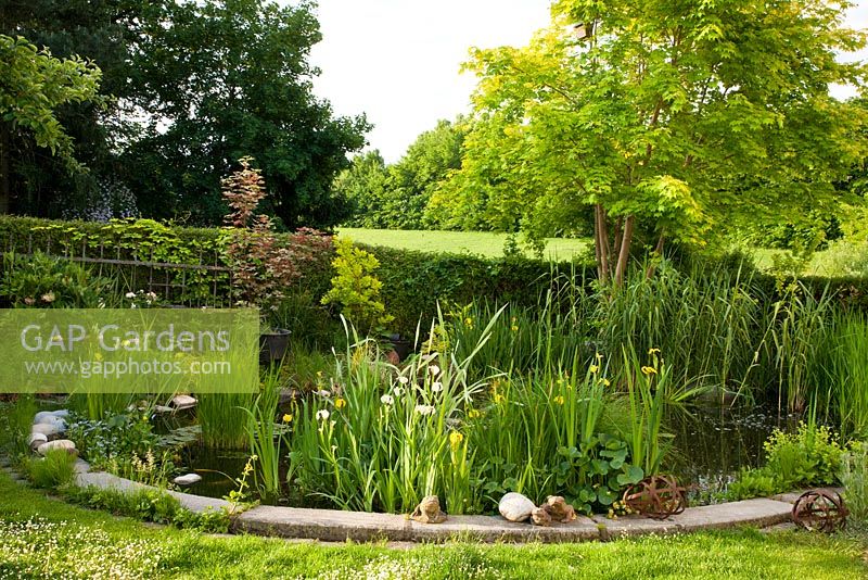 A garden pond with Iris ensata in early summer with decorative objects as frogs and metal spheres