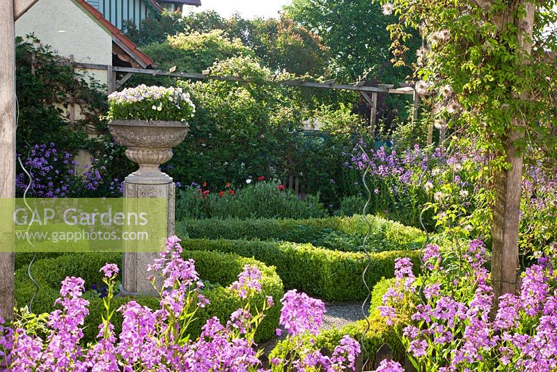 Formal garden with low clipped box hedges, a loggia and stone pillar with violas in a bowl. Other planting includes Buxus, Clematis, Hecke, Hesperis matronalis, Papaver and Viola