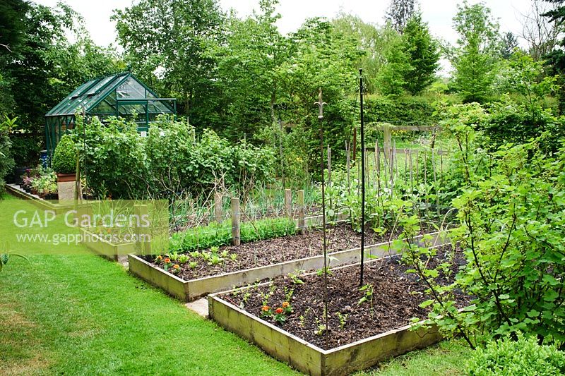 View of ornamental vegetable and fruit garden with raised beds and greenhouse - The Rowans, Threapwood, Cheshire.