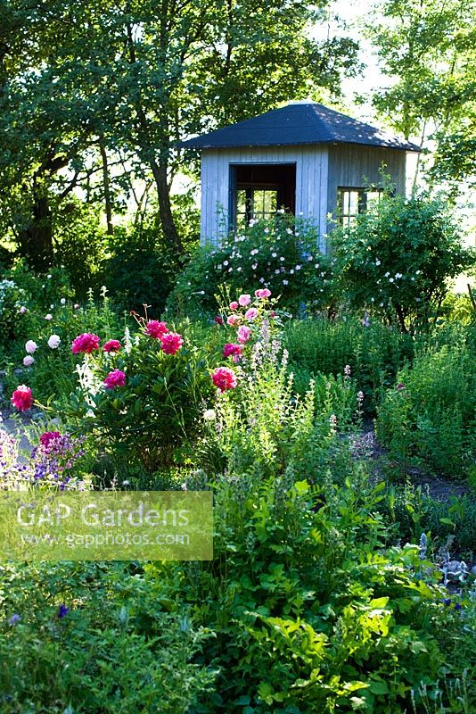 Wooden tea house in herb garden surrounded by Origanum vulgare, Thymus, Echinacea, Sidalcea, Rosa, Lavandula, Verbascum, Malva, Paeony, Salvia

