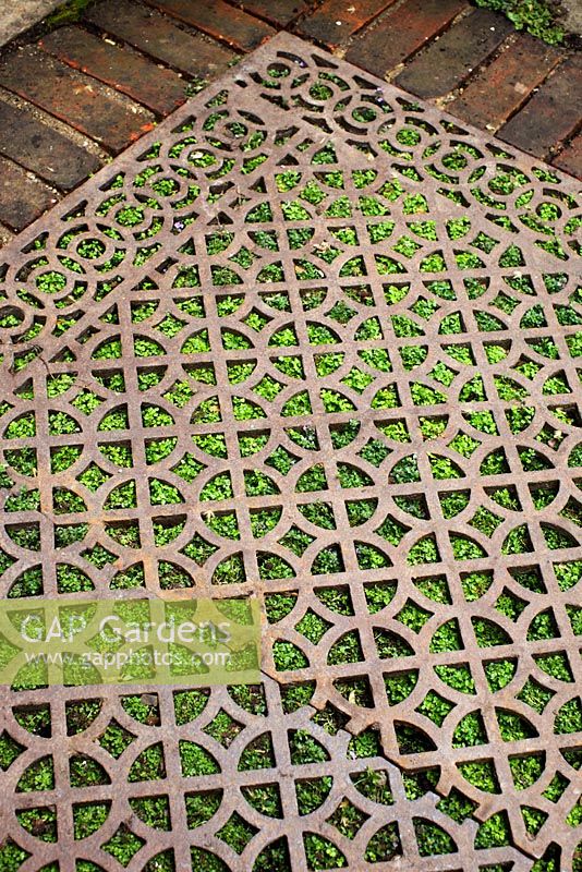 'Persian carpet' made from an old ironwork grille planted with Soleirolia soleirolii - '42 Catherine Street' courtyard garden - RHS Chelsea Flower Show 2008  