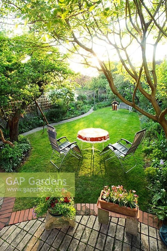 A secluded town garden with lawn, ancient Apple tree with wooden prop, garden seat and intensively planted borders and beds - Meredith Lloyd-Evans, Barnabas Road, Cambridge.