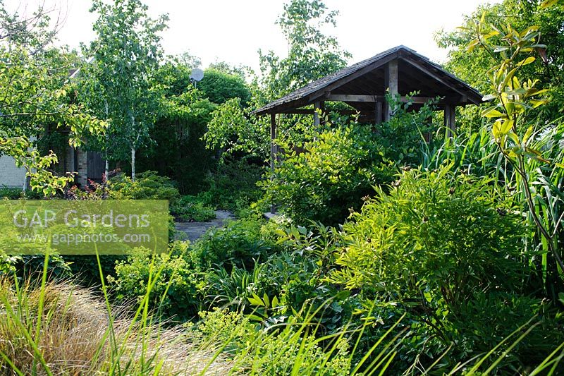 Oriental style garden with oak temple - Butts Farm, Pond Green, Wicken, Cambridgeshire