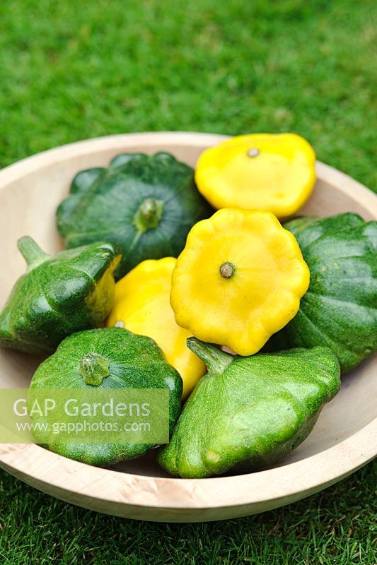 Courgettes 'Starship F1' and 'Sunburst F1' in wooden bowl