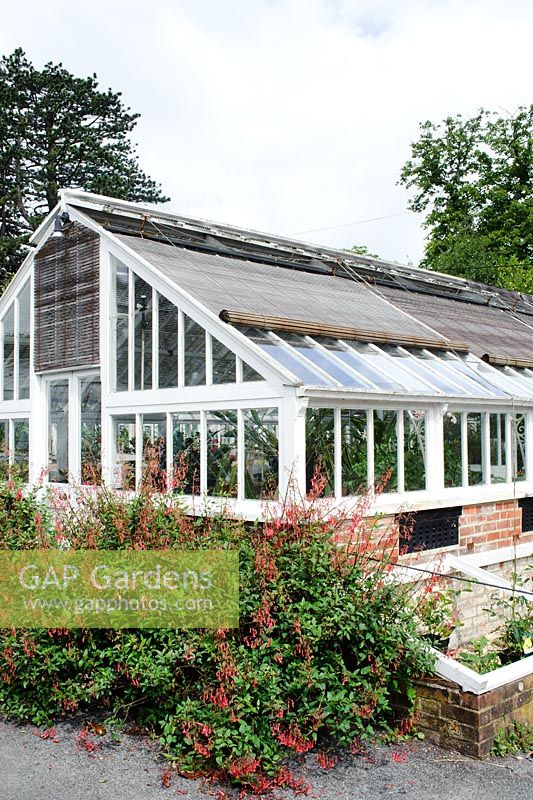 Traditional timber greenhouse with cedar roller blinds. External shading. Borde Hill, Sussex.