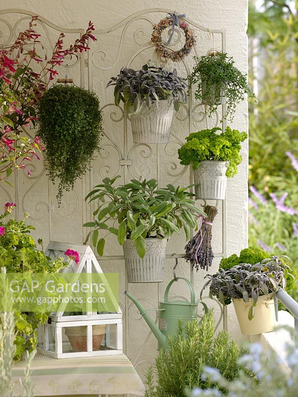 Balcony garden with container plantings of sage, parsley and lavender