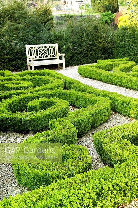 Small box parterre with paths of gravel, wooden bench seat and newly planted Taxus baccata hedging - Summerdale House and Garden, Cumbria