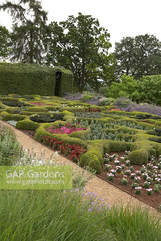 The Broughton Grange Box parterre - the design is based on the structure of leaves viewed under a microscope infilled with blocks of colour through the year with different plants depending on the season. Buxus parterre with Verbena x hybrida, Cosmos, Antirrhinum and Kale with mature trees and a Hornbeam hedge in the background