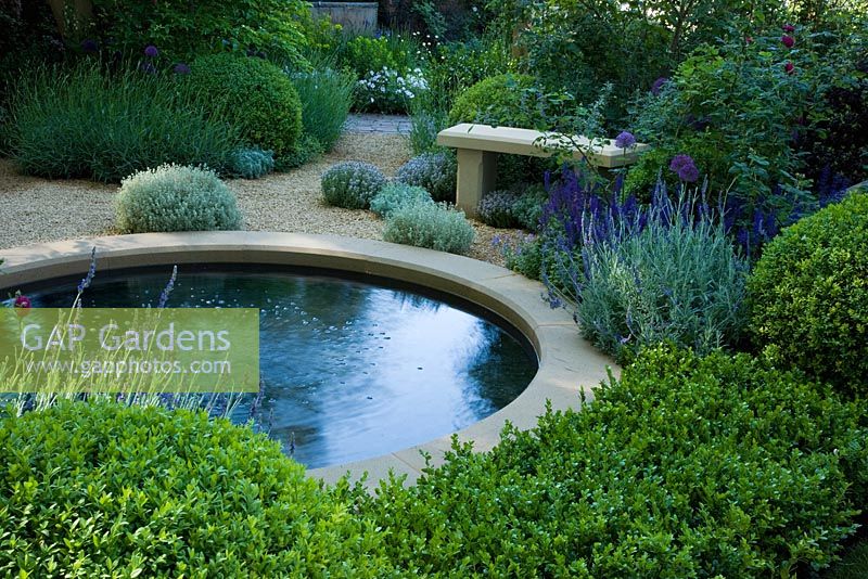 Circular pond, Buxus sempervirens topiary, Lavandula, Viburnum plicatum 'Mariesii', Cercis, Salvia' 'Mainacht' - The M and G garden - RHS Chelsea Flower Show 2010

