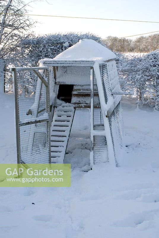 Hen House covered in snow - Gowan Cottage