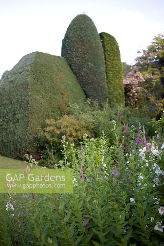 The Garden House, Buckland Monachorum, Devon 