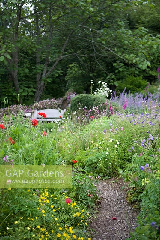 The cottage garden - The Garden House, Buckland Monachorum, Devon 