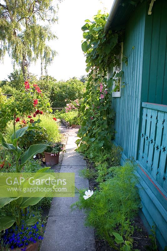The vegetable garden at Rothoffska colony built in 1903. The cabin is now a museum allotment plot. Organic garden combines old heritage plants with new varieties - Sweden