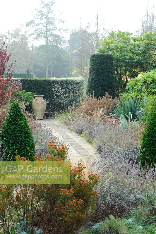 Box and Yew topiary, Beech hedge, Lavenders beside path, Choisya, Berberis thunbergii 'Helmond Pilar', Fatsia japonica, Mahonia 'Winter Sun', Erica terminalis in foreground. Urn as focal point at end of path - The Dry Garden, University of Cambridge, Botanic Garden
