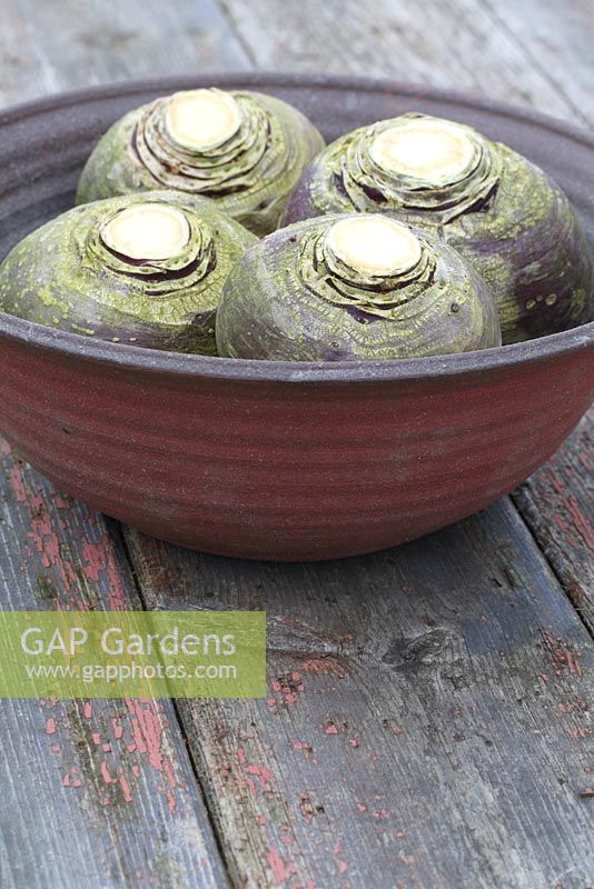 Brassica napus - Swedes in a ceramic bowl