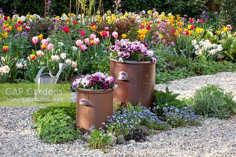 Violas in containers, beds of Tulipa, Lunaria annua and Brunnera macrophylla - Imig-Gerold Garden
