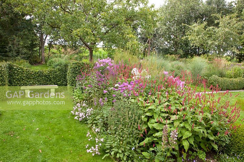 Stone bench backed by a clipped hornbeam hedge, planting includes - Miscanthus 'Morning Light', Phlox paniculata, Persicaria amplexicaulis, Monarda, Acanthus and Prunus domestica 'Opal' - Ruinerwold Garden