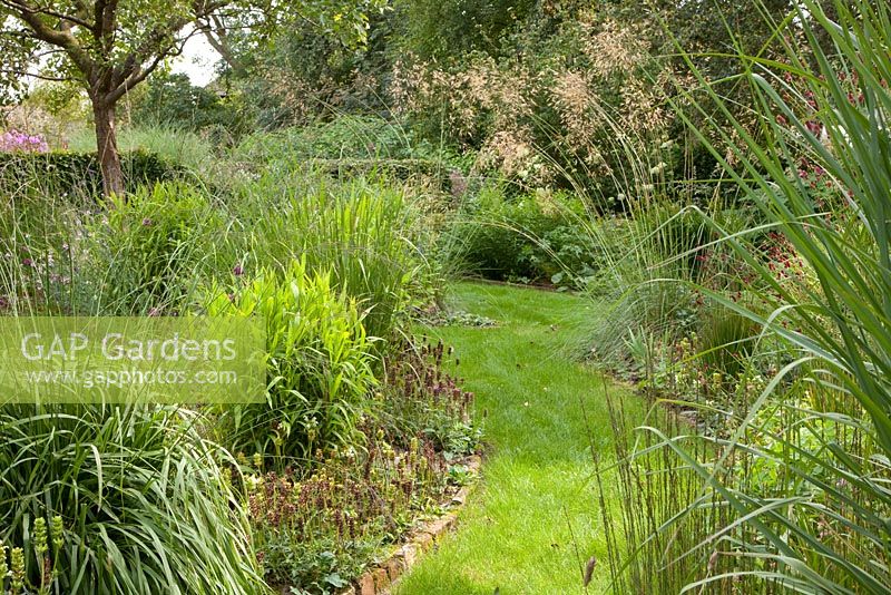 Grass pathways and Stipa gigantea, Molinia arundinacea and Chasmanthium latifolium - Ruinerwold Garden