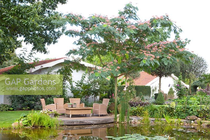 Seating area on deck overlooking pond, planting includes - Albizia julibrissin - Tropical Touch
